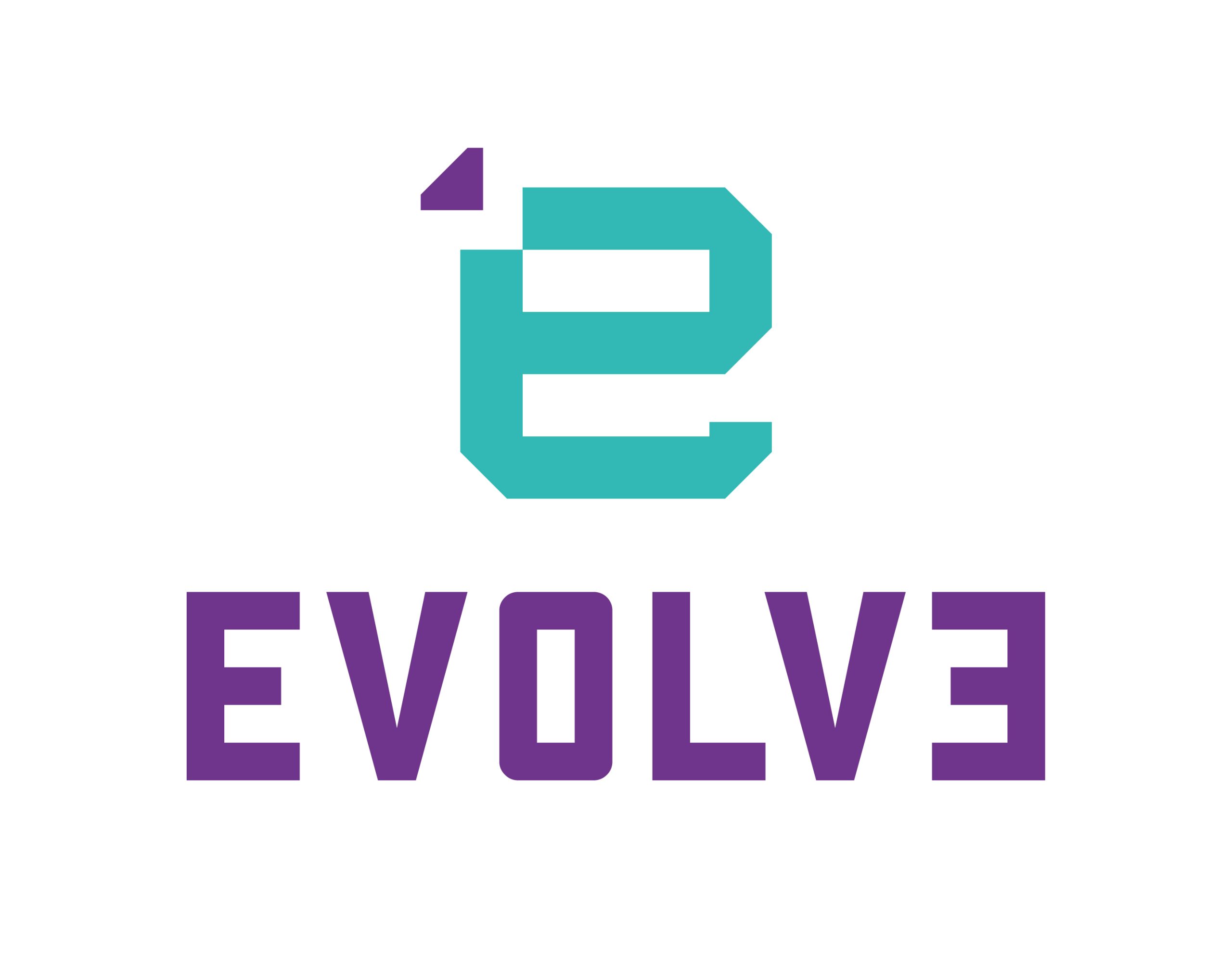 EVOLVE Servicios Informaticos